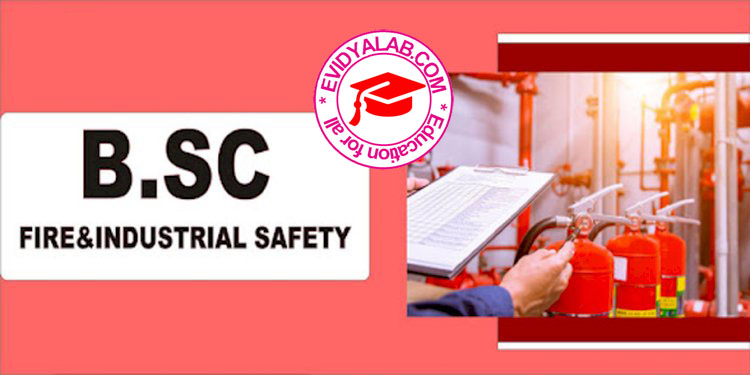 b-sc-fire-industrial-safety-institute-of-distance-education